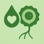kok_hucre_icon-1.webp